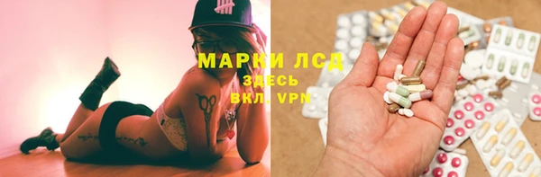 трава Лабытнанги