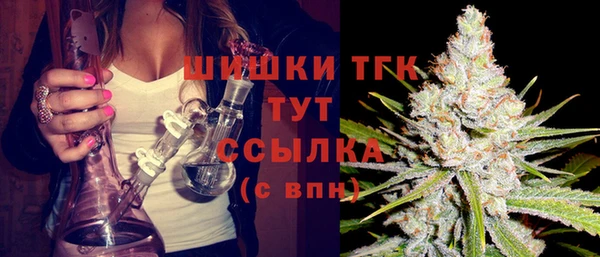 трава Лабытнанги
