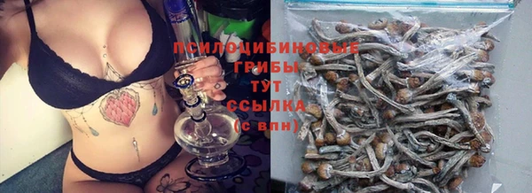 прущий лед Липки