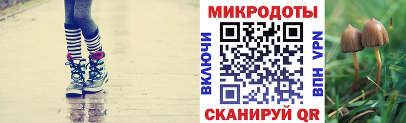 где продают Мелеуз blacksprut ССЫЛКА Галлюциногенные грибы Magic Shrooms